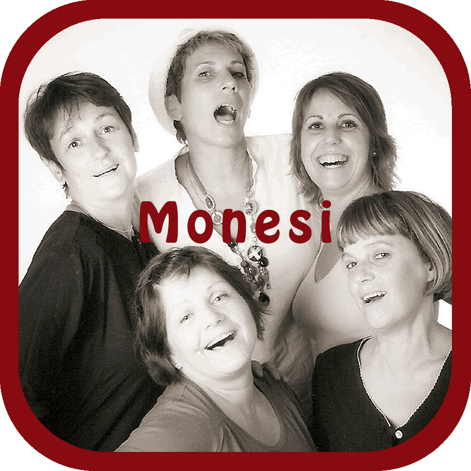 logo monesi pour site