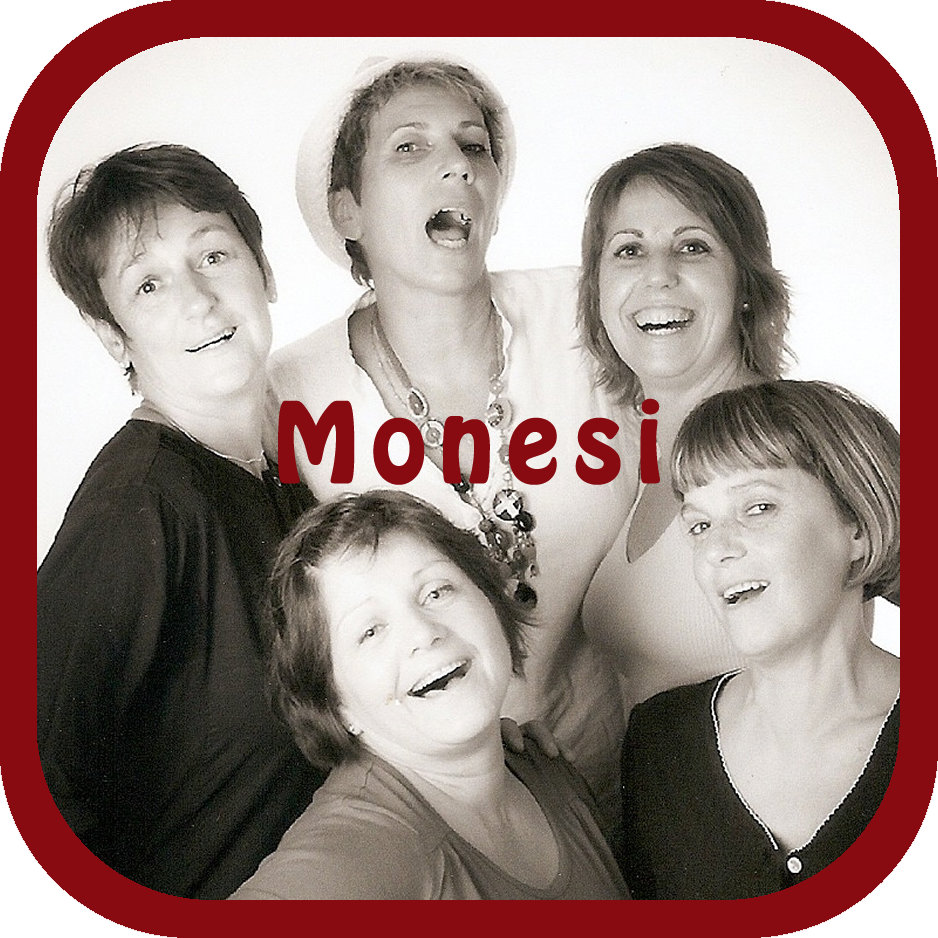 logo monesi