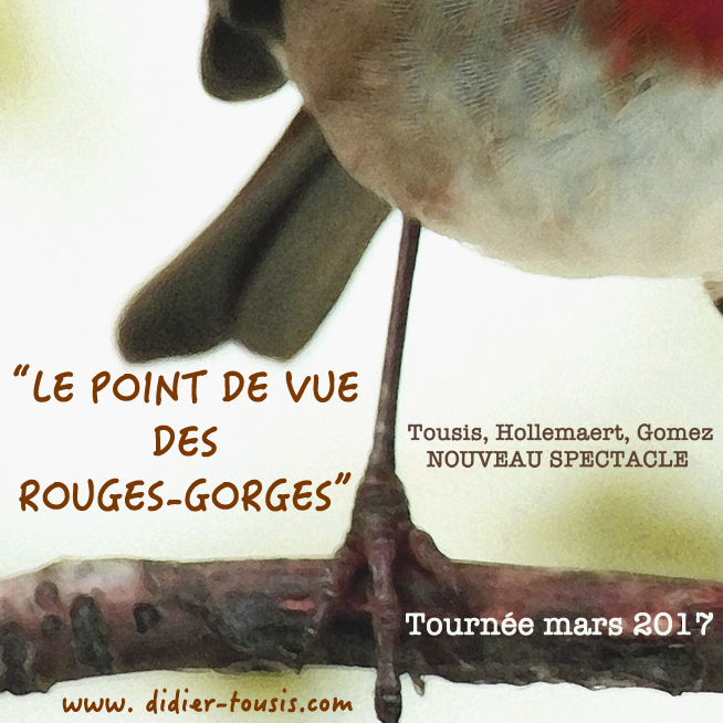 affiche_rougesgorges_tousis_web